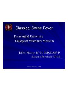 Texas A&amp;M University College of Veterinary Medicine