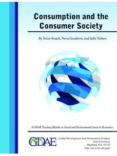 Consumption and the Consumer Society - Boston University