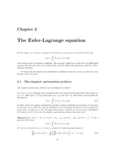 The Euler-Lagrange equation - KAIST