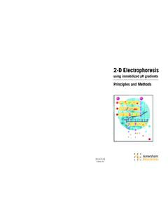 2-D Electrophoresis