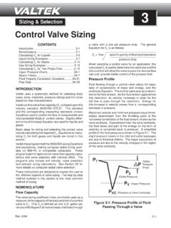 Control Valve Sizing - CTi Controltech