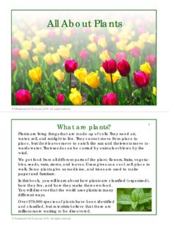All About Plants Printable Book - …