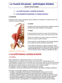 Le muscle ilio-psoas : pathologies distales - …