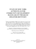 STATE OF NEW YORK ACTION PLAN FOR …