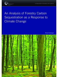 An Analysis of Forestry Carbon ... - Ohio State University