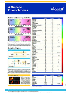 A Guide to Fluorochromes - Abcam