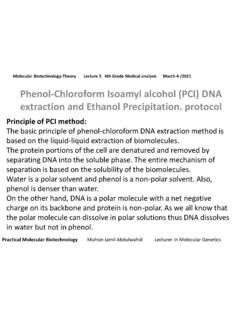 Phenol-Chloroform Isoamyl alcohol (PCI) DNA extraction and ...