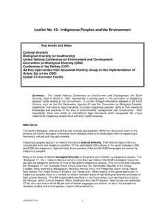 Leaflet No. 10: Indigenous Peoples and the Environment