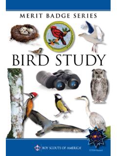 BIRD STUDY - filestore.scouting.org