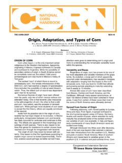 Origin, Adaptation, and Types of Corn
