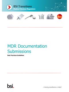 MDR Documentation Submissions - BSI Group