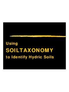 SOILTAXONOMY - USDA