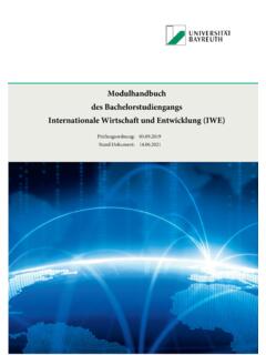 Modulhandbuch des Bachelorstudiengangs Internationale ...