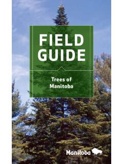 Field Guide Trees of Manitoba - Province of Manitoba