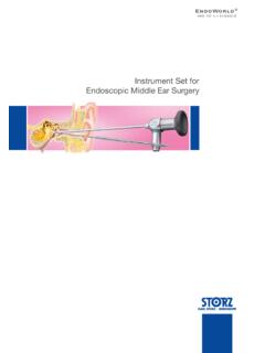 Instrument Set for Endoscopic Middle Ear ... - Karl Storz SE