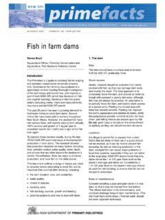 Fish in farm dams - Department of Primary Industries