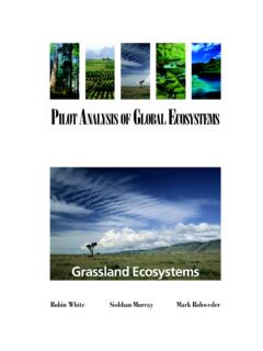 Grassland Ecosystems - World Resources Institute