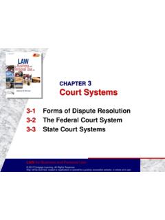 CHAPTER 3 Court Systems - bisd303.org