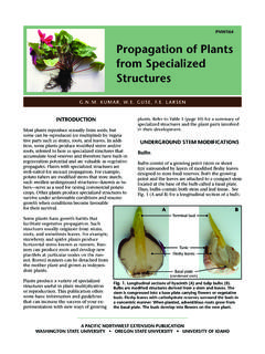 PnW164 Propagation of Plants from Specialized …