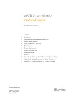 qPCR Quantification Protocol Guide - Boston University