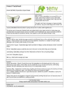 Insect Factsheet - 1env Solutions