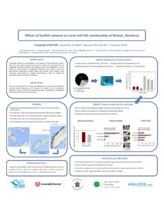 Effects of lionfish removal on coral reef fish communities ...