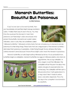 Monarch Butterflies: Beautiful But Poisonous