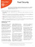 Policy Brief Food Security - Food and Agriculture ...
