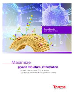 Guide to Glycan Analysis - Thermo Fisher Scientific