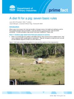 A diet fit for a pig: seven basic rules
