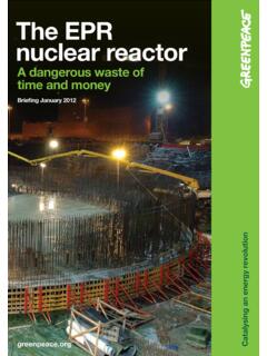 The EPR nuclear reactor - NIRS
