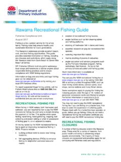 Illawarra Recreational Fishing Guide