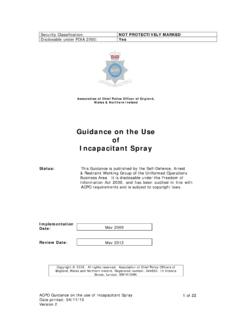 Guidance on the Use of Incapacitant Spray