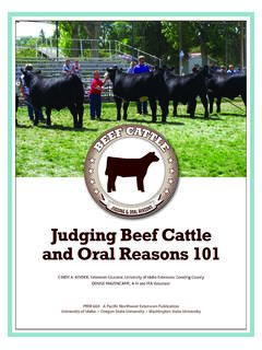 Judging Beef Cattle and Oral Reasons 101 - uidaho.edu