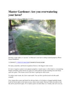 Master Gardener: Are you overwatering your lawn?