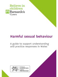 Harmful Sexual Behaviour- A guide to support …