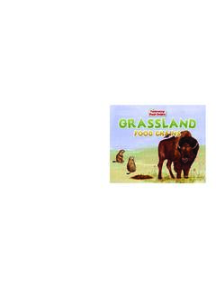 Grassland Food Chains - Fascinating Food Chains