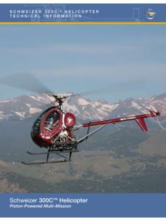 Schweizer 300C Helicopter - WFH Florida