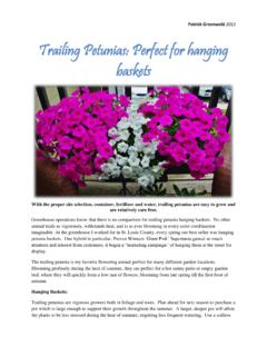 Trailing Petunias: Perfect for hanging baskets