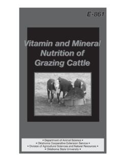 Vitamin and Mineral Nutrition of Grazing Cattle