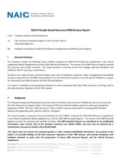 VAWG 2020 PBR Review Report