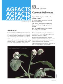 AGFACTS Common Heliotrope AGFACTS Agfact P7.6.56 …