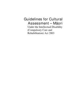 Guidelines for Cultural Assessment - Ministry of Health NZ