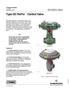 Type D2 FloPro Control Valve - Electrical Solutions …