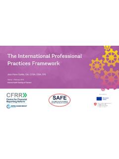 The International Professional Practices Framework