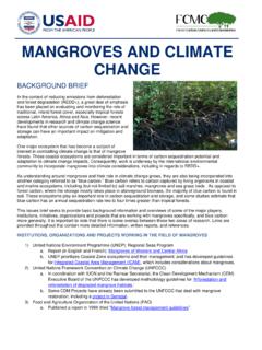 MANGROVES AND CLIMATE CHANGE