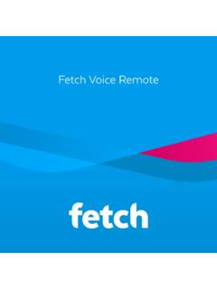 Fetch Voice Remote