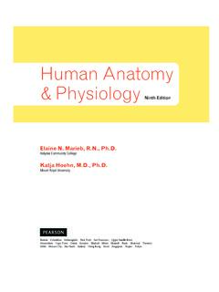 Human Anatomy &amp; Physiology Ninth Edition