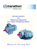 Operating Instructions and Maintenance Manual for Low ...