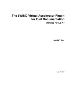 The 6WIND Virtual Accelerator Plugin for Fuel Documentation